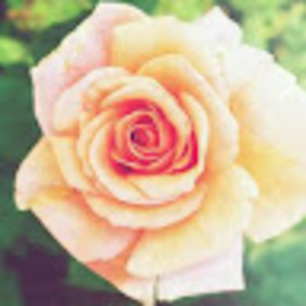 Meet your Posher, Girl gamer for